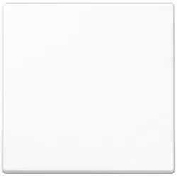 Jung Steuertaste Standard A 1700 WW