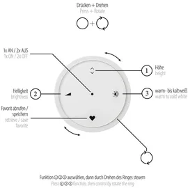 neuhaus pure Pendelleuchte PURE E-Loop PURE-E-LOOP