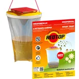Redtop Wespenfalle 3 Liter 1 St.