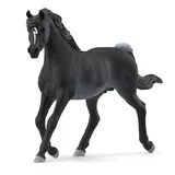 SCHLEICH Horse Club | Araber Hengst 13981 | detailgetreues Pferd | tolles Geschenk für Mädchen und Jungen | Deko & Sammelfigur Pferde Spielzeug für Kinder ab 5 Jahren | 5 x 15 x 10 cm