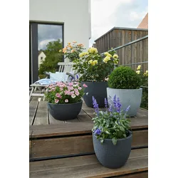 Scheurich Barceo 30, Pflanzgefäß / Blumentopf / Pflanzenkübel, hergestellt mit recyceltem Kunststoff, 10 Jahre Garantie