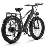 Elektrofahrrad 26 Zoll Mountainbike City Ebike 48V 20AH E-Bike Pedelec Fatbike