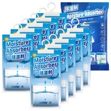 CONOPU 10 Packungen x 248g(2.5KG) Hänge-Luftentfeuchter, Luftentfeuchter Granulat, Befreien Sie sich von Feuchtigkeit für Keller, Schlafzimmer, Waschräume, Beseitigen unangenehme Gerüche, OZ04CSD04