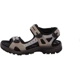 ECCO Offroad Herren vetiver/wild dove 44