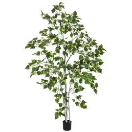 Europalms Birkenbaum, 180cm