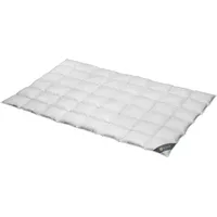 SPESSARTTRAUM Daunendecke Wildente normal 100% Daunen 135x200 cm