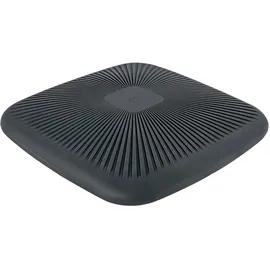 Leitz Ergo Active Balance dunkelgrau