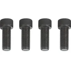 Schraube M 22 x 60 mm, Festigkeitsklasse: 12.9 für V2934, V2939, V2940 V3263