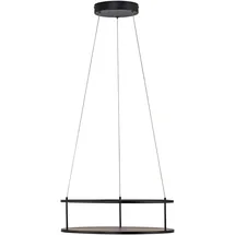 Paul Neuhaus CONTURA Pendelleuchte, LED, 2442-18,