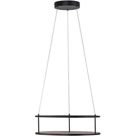 Paul Neuhaus CONTURA Pendelleuchte, LED, 2442-18,