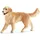 Schleich Farm World Golden Retriever Hündin 16395