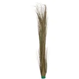 Europalms Schilfgras, khaki, 127cm