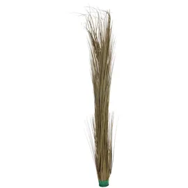 Europalms Schilfgras, khaki, 127cm