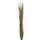 Europalms Schilfgras, khaki, 127cm
