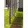 Lemodo Trittstein 3er-Set Gehwegplatte 60 x 25 x 1,7 cm braun