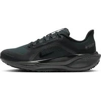 Nike Herren Pegasus 41 GTX schwarz 42.0
