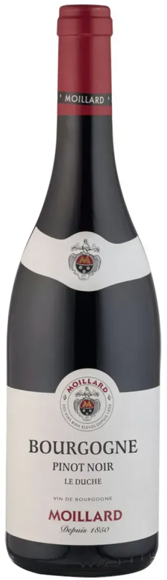 Moillard Le Duche Pinot Noir Rotwein trocken 0,75 l | 2022