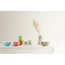 SELTMANN WEIDEN Kaffeetassen mit Untertassen Liberty Pure Colors 260 ml 6er Set