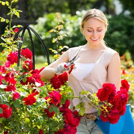 Relaxdays Rankturm 2er Set 149 x 29 cm Schwarz