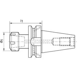 Fortis Spannzangenfutter JISB6339AD A160 BT40-ER16