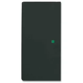 Busch-Jaeger Wippe sw mt future linear 6230-20-885