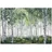 WallArena Fototapete 3D Effekt- Wald Birken Bäume Tapete Wohnzimmer 150x105
