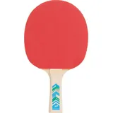 Pro Touch Pro 3000