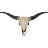MCW Deko Schädel Longhorn