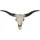 MCW Deko Schädel Longhorn