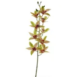 Kunstorchidee Dekozweig Cymbidium Orchidee YAMEI, rosa-grün, 80 cm Orchidee (Orchidee cymbidium), artplants grün