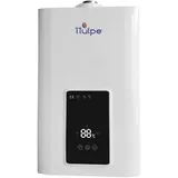 TTulpe C-Meister 13 P50 Eco