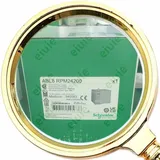 Schneider Electric ABL8RPM24200