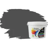 RyFo Colors Fassadenfarbe Silikonharz Fassadenfarbe Diamantgrau 3l, 1 L ca. 6 m2, Wasserabweisend, diffusionsfähig, schützt vor Schmutz, Algen, Pilzen grau