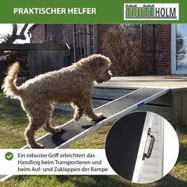 Trutzholm Hunderampe klappbar 215 cm Traglast 180 kg Alu grau schwarz beschichtet Tierrampe Tasche