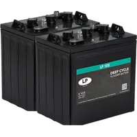 Landport 2x Traktionsbatterie Landport LP 105 6V 225Ah Deep