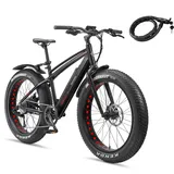 TELEFUNKEN E-Bike Mountainbike Elektrofahrrad Alu, 8 Gang Kettenschaltung - Pedelec Fatbike MTB, Hinterradmotor 250W, Scheibenbremsen, Aufsteiger FM350