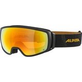 Alpina Double Jack Q-Lite Skibrille schwarz,