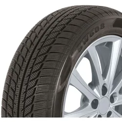 Winterreifen TRAZANO SW608 215/65R16 98H