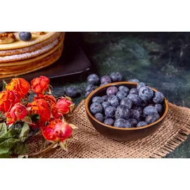 Biovita Gartenerde für Blaubeeren und Cranberries 50L, sauer, pH 4-5