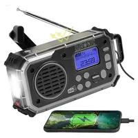 Duronic SDAB1 Kurbelradio schwarz