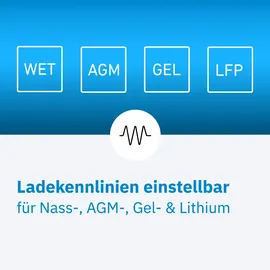 Ective CSI 20 PRO 2000W/12V Sinus-Wechselrichter mit Netzvorrangschaltung Ladegerät