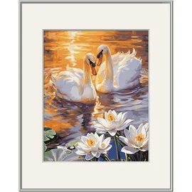 Schipper Malen nach Zahlen 1 St. Verliebte Schwäne