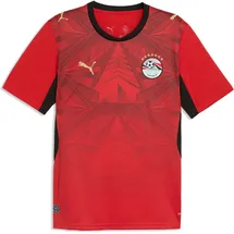 Puma Ägypten Heimtrikot (Replica) 2026 Herren Gr. M