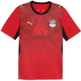 Puma Ägypten Heimtrikot (Replica) 2026 Herren Gr. M