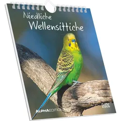 Wellensittiche - Kalender 2026