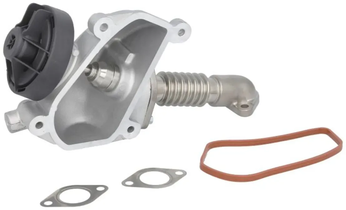 Vanne EGR WAHLER 7206D