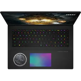 MSI Titan 18 HX A14VIG-069 Intel Core i9-14900HX 96 GB RAM 6 TB SSD RTX 4090