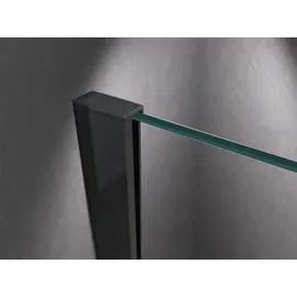 BuyLando.Shop Glaswerk Westfalen - LiLy 160x200 cm Walk in Duschwand Satiniert Schwarz