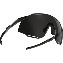 Dynafit Alpine 3 Sportbrille (Größe One Size, schwarz)