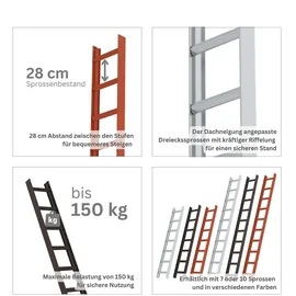 Proregal Dachleiter 10 Sprossen